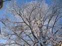 2010_talvikuvia 004
